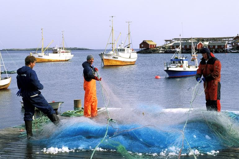 Danmark er både det gode og det dårlige eksempel