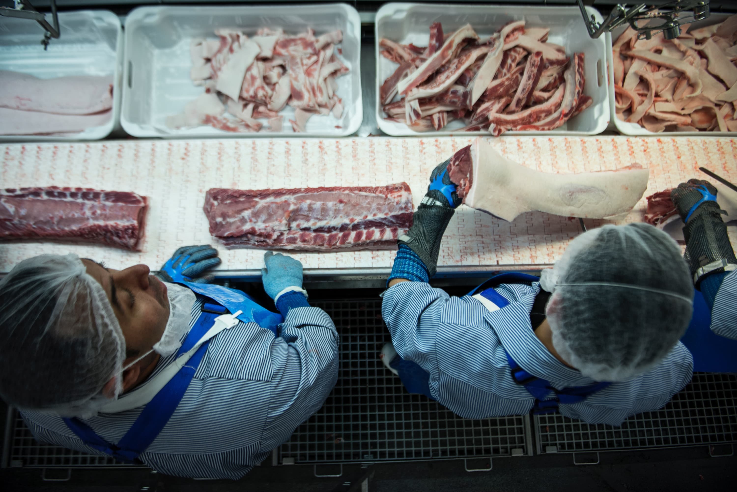 Der vil i fremtiden mangle faglært arbejdskraft og folk med korte og mellemlange uddannelser. Med den rette integration kan flygtninge udfylde det hul og måske blive en gevinst for kommunerne. Foto: Cicilie S. Andersen / Polfoto