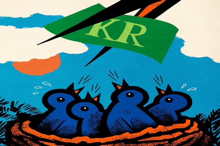 Forskere: Fonde kan blive et demokratisk problem
