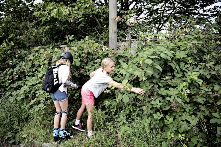 Byens natur bliver vildere