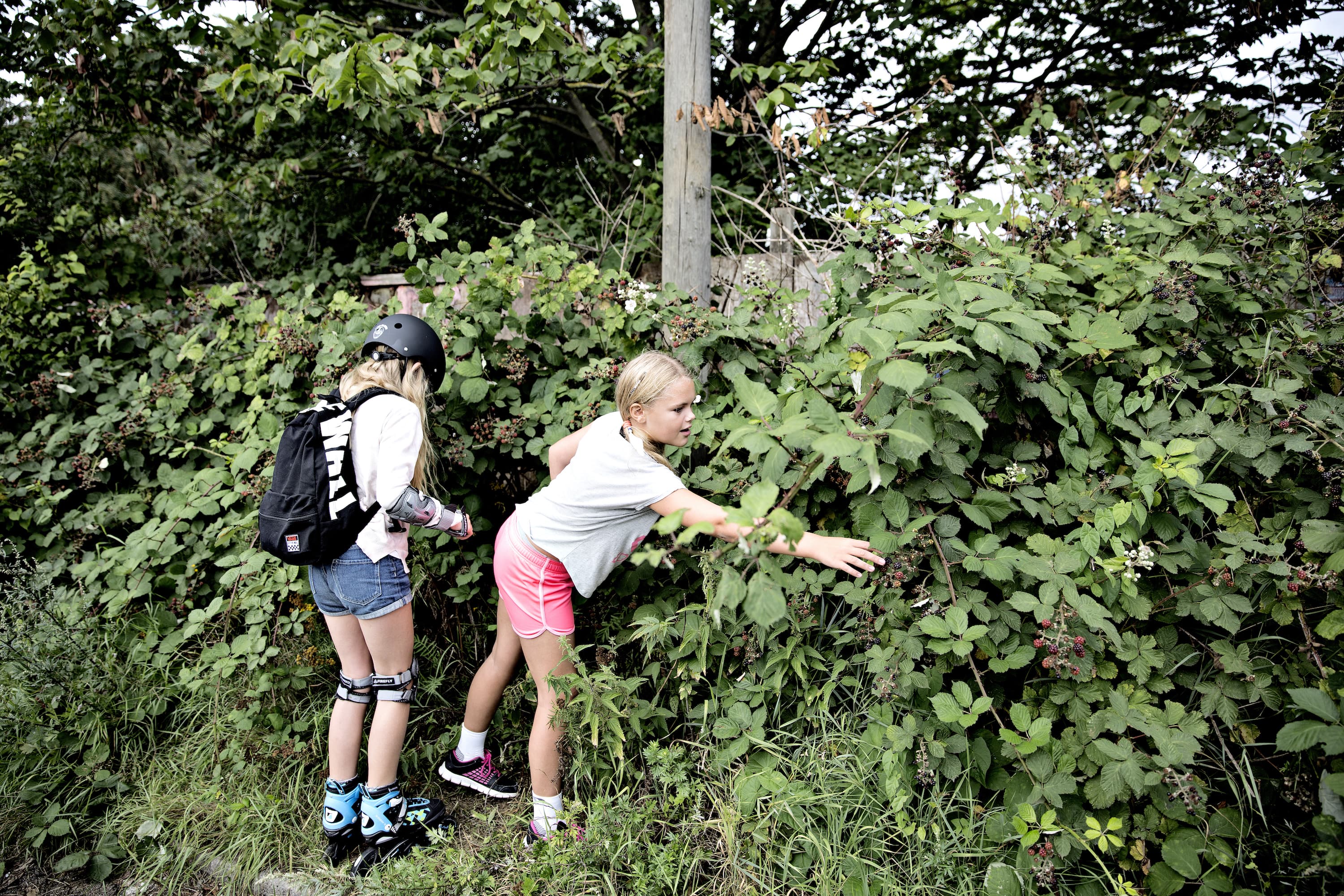 Det skal gøres soleklart for indbyggerne, at uordentligheden er med vilje og ikke bare sjusk. Foto: Joachim Adrian / Polfoto