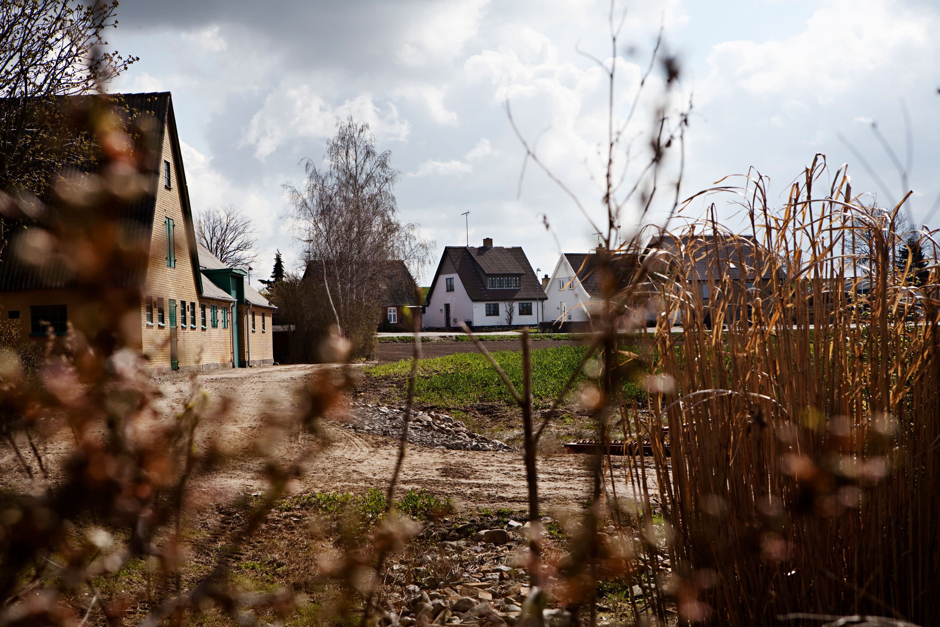 Skat står til at overdrage restancer på over 300 millioner kroner alene for ejendomsskat til inddrivelse ved kommunerne selv.
Foto: Kristine Kiilerich / Polfoto