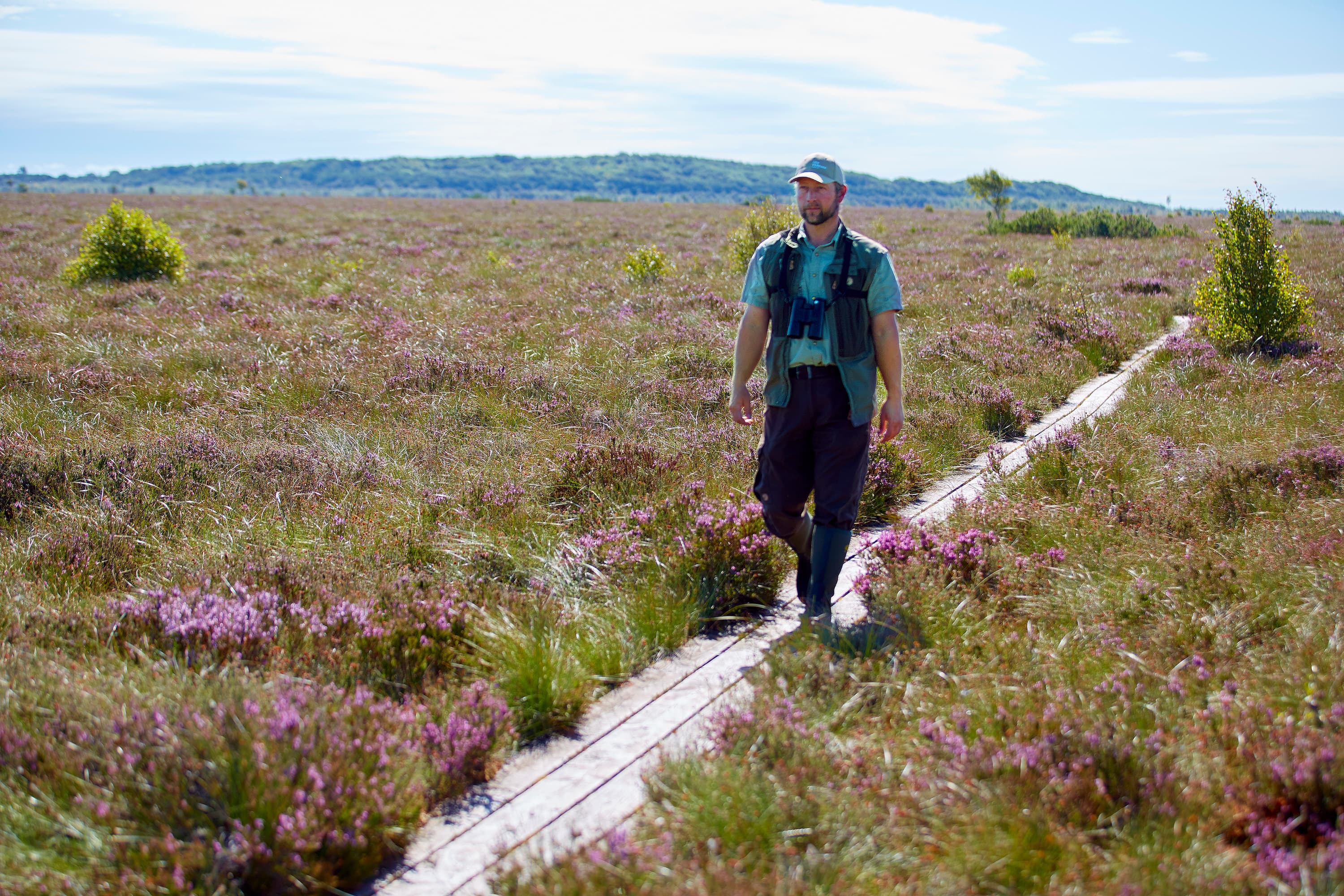 Lille Vildmose i Himmerland er med sine mere end 7.600 hektar Danmarks største landfredning. Her går direktør for Lille Vildmose Centret Bo Gregersen på en plankesti, der fører ud i Tofte Mose. 
Foto: Morten Langkilde / Polfot