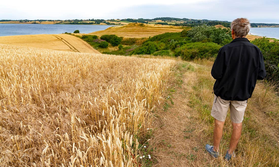 Indtil 2004 kunne en landmand frit nedlægge eller spærre en markvej, hvis han var træt af, at folk brugte den. Men i dag skal han anmelde nedlæggelsen til kommunen, hvis vejen fører ud i naturområder eller hen til udsigtspunkter. Alligevel bliver mange markveje stadig nedlagt, uden kommunerne hører noget.