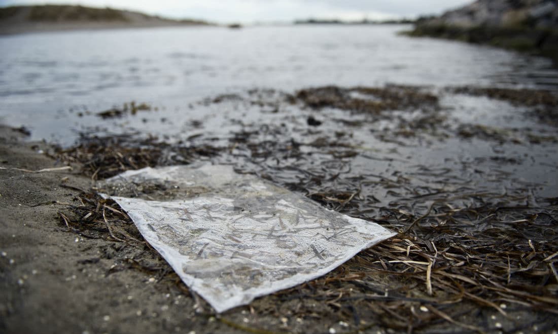 Forsyningsselskabet Hofor skulle i den kommende uge have udledt 290.000 kubikmeter spildevand i Øresund, men udledningen bliver nu udskudt til efteråret.