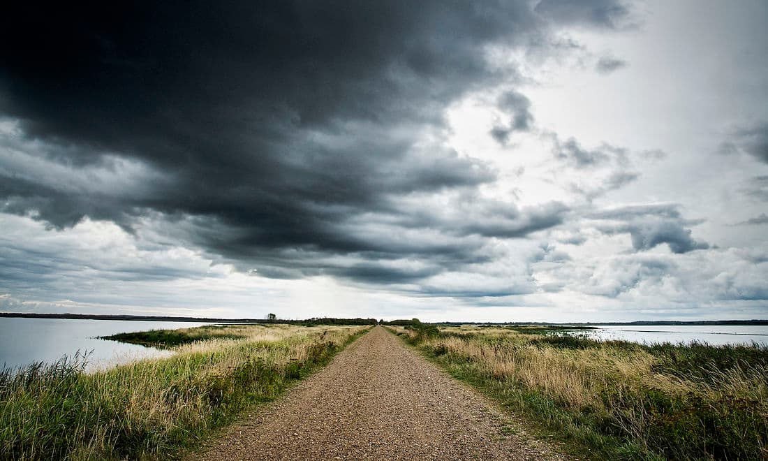 For to år siden var Filsø, Jyllands næststørste sø sydøst for Henne Strand og syd for Henne Kirkeby, hjemsted for en decideret miljøkatastrofe efter skybrud.