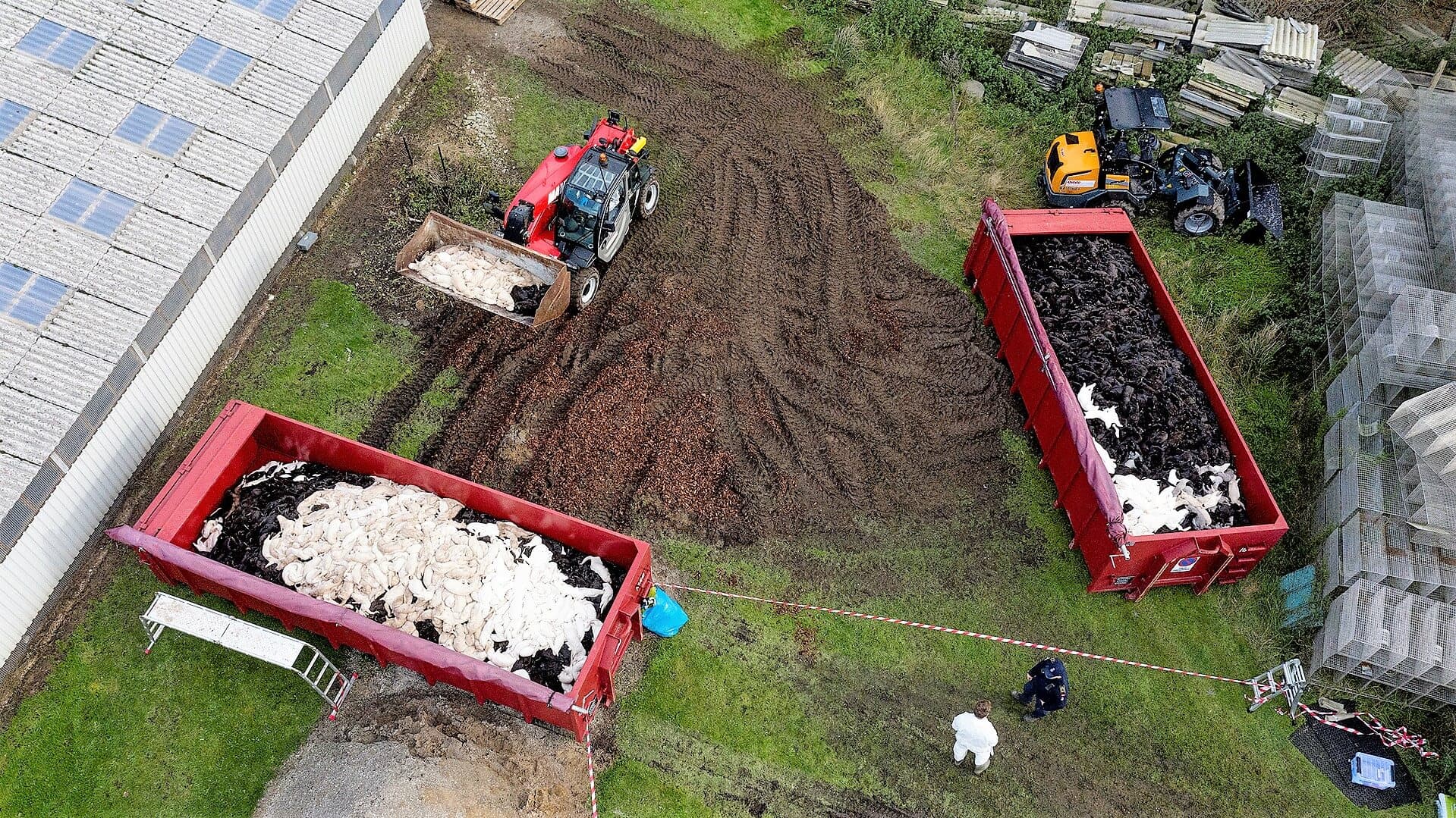 Minkfarm ved Hanstholm, hvor myndighederne sidst i oktober aflivede dyrene. Det var før den ulovlige besked om, at alle mink skulle aflives.