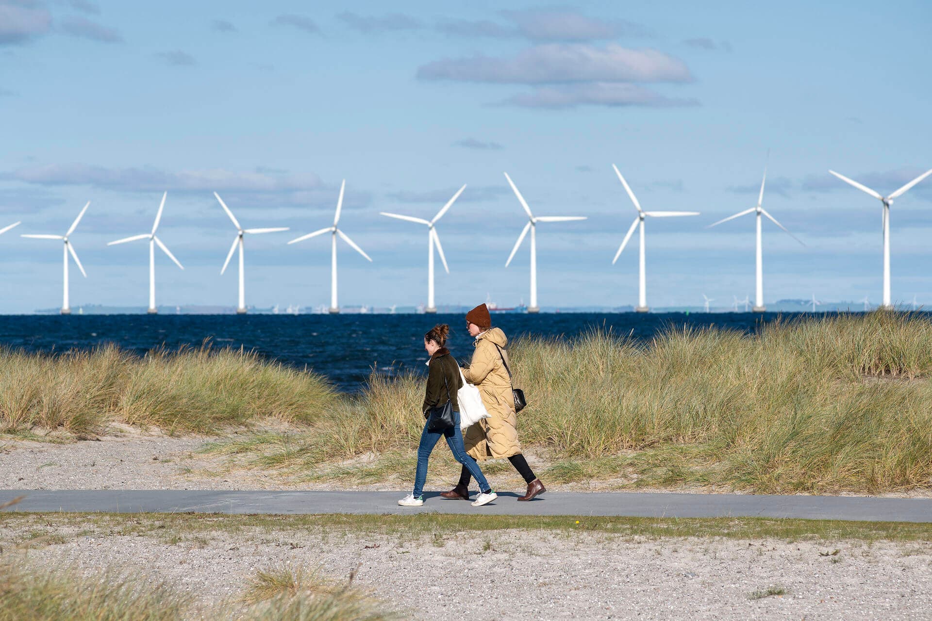 Borgerne er ikke modstandere af vedvarende energi, men de føler sig ofte magtesløse og udsat for skindemokrati i de lokale planlægnings- og høringsprocesser, skriver Kristian Borch og Stener Glamann. Denne vindmølleudsigt er skudt ud for Amager Strandpark.