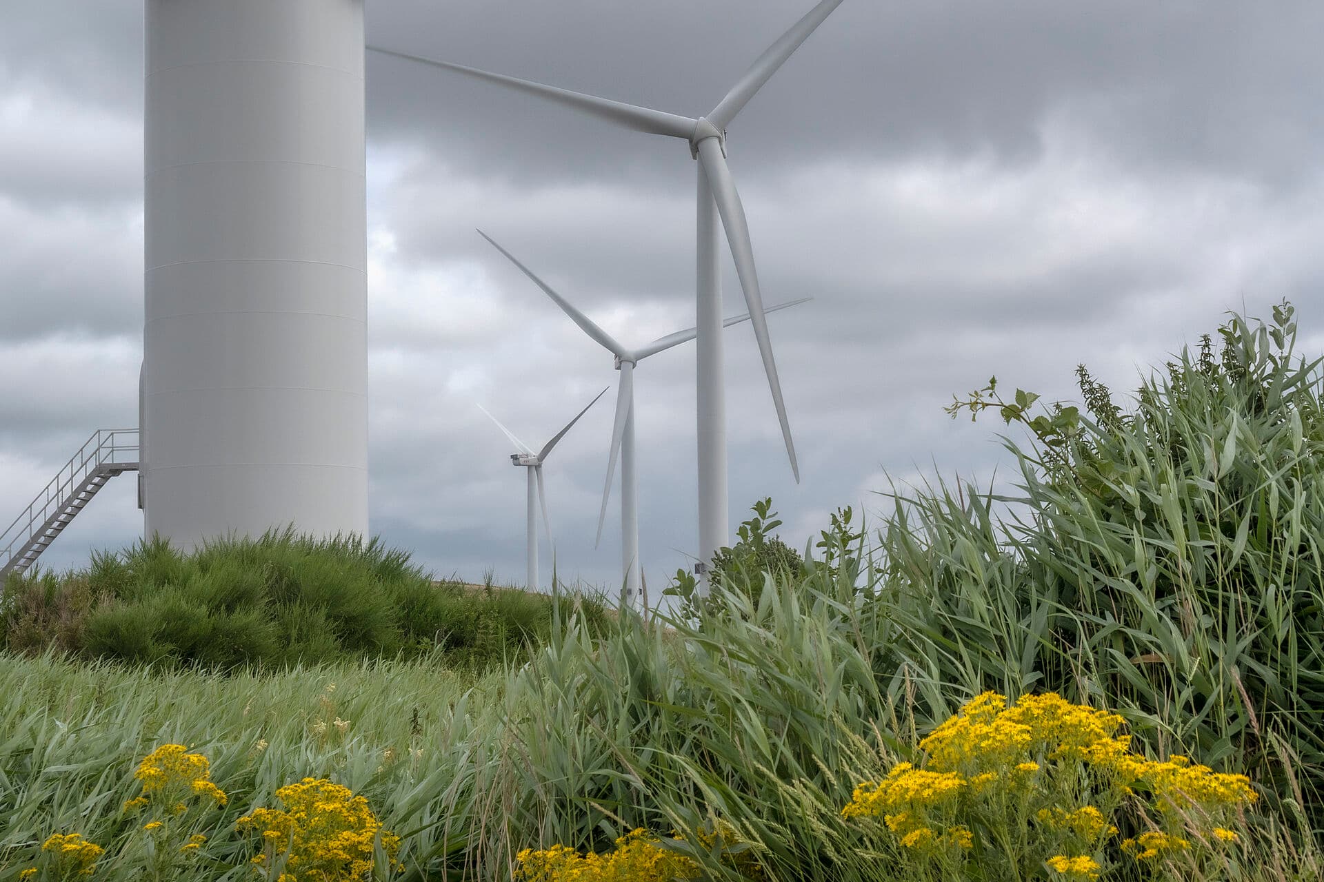 En væsentlig barriere for realisering af planer om opsætning af landvindmøller og solcelleparker er kommunalbestyrelserne selv. For når energiselskaber præsenterer planer for opsætning af vedvarende energi, opstår der uvægerligt lokal modstand.