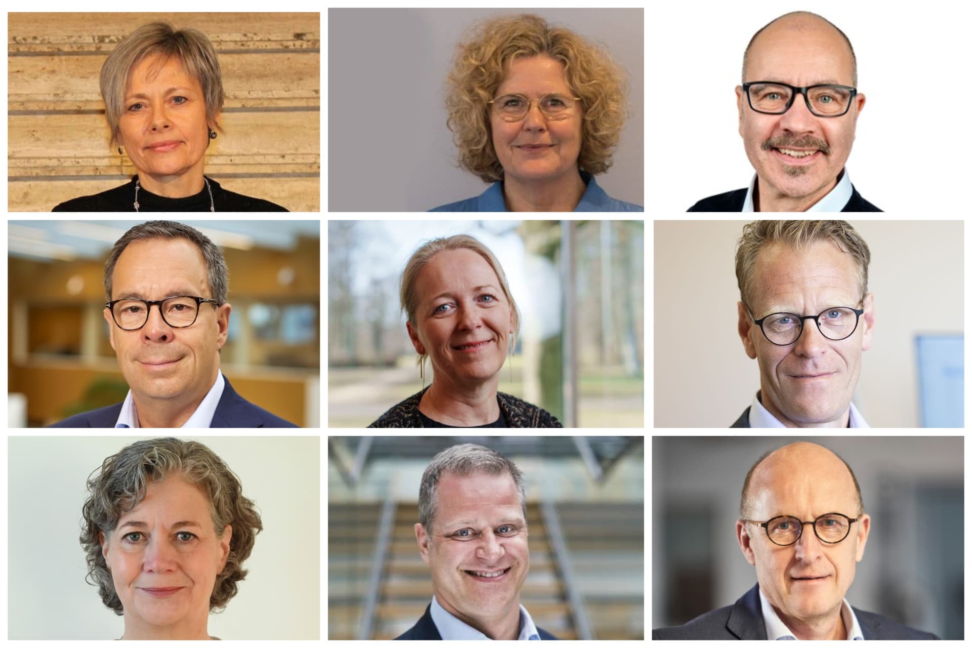 Øverst fra venstre: Afgående økonomi- og stabsdirektør i Sorø, Helle Wagner Gehlert, kommende kommunaldirektør i Holbæk, Rie Perry, borgmesterbarselsvikar og politisk ordfører for S i Holbæk, Lars Qvist,  kommende økonomidirektør i Københavns Kommunet, Nicolai Kragh Petersen, tidligere kommunaldirektør i Egedal, Christine Brochdorf, ny HR-chef i Kolding Kommune, Per Bo Nørgaard Andersen, ny direktør for børne- og velfærdsområdet i Hvidovre, Tine Larting, ny formand for Komdir, Eik Møller og afgående direktør i Syddjurs Kommune, Poul Møller.