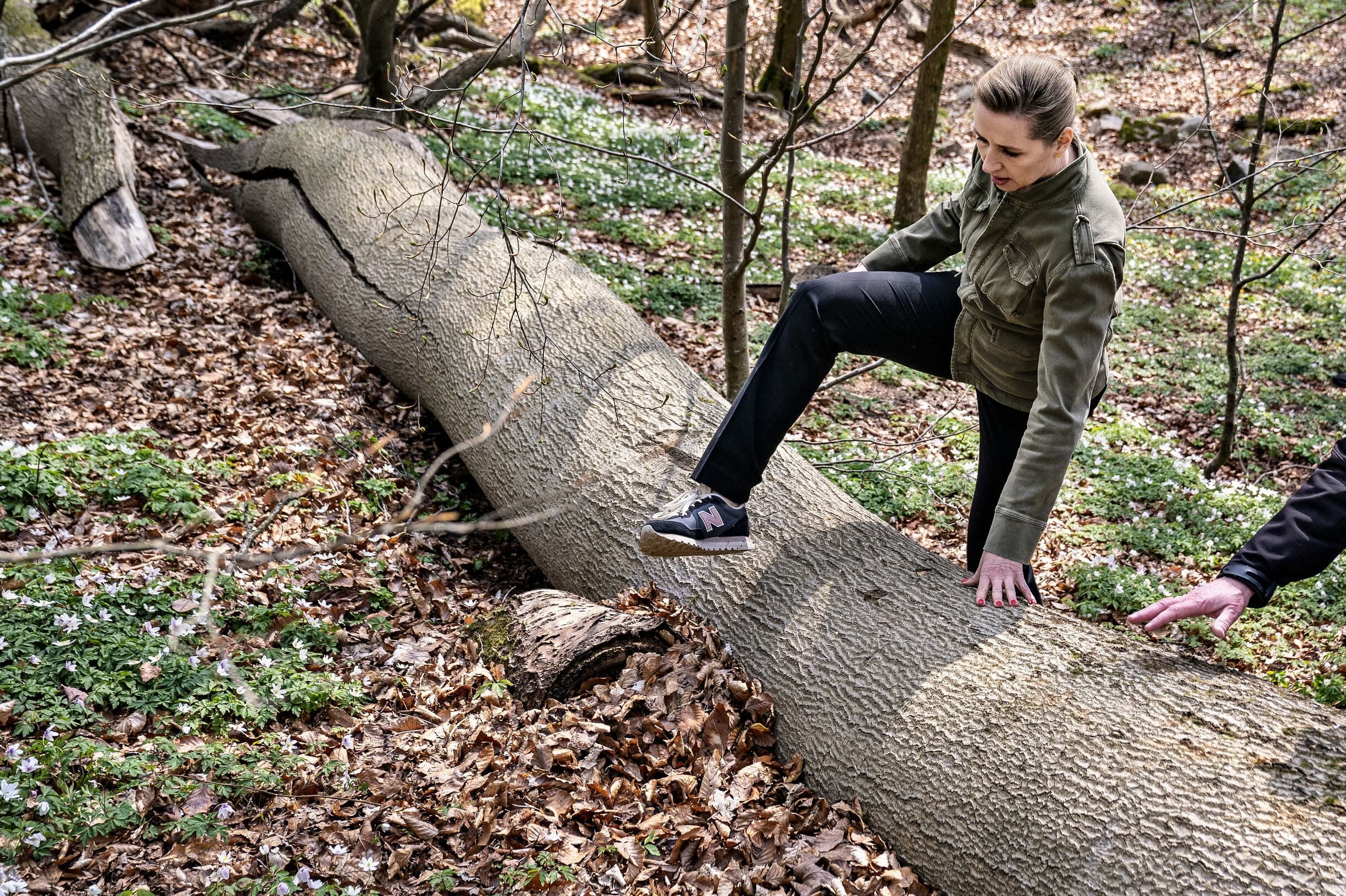 Trods politisk opbakning har de 15 udpegede naturnationalparker svært ved at komme fra start. De 15 udpegede parker dækker cirka 0,6 pct. af Danmarks landareal. Til sammenligning er det EU’s målsætning at nå op på 30 pct. beskyttet natur allerede i 2030. 