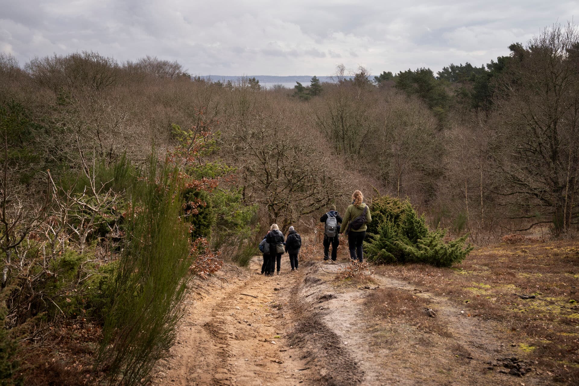 - Vi skal undgå at havne i en situation, hvor lodsejerne trækker følehornene til sig og holder arealerne ind til kroppen frem for at lægge dem frem til fællesskabet, siger Martin Hjort Jensen, der er viceformand i landmændenes brancheorganisation Landbrug & Fødevarer.