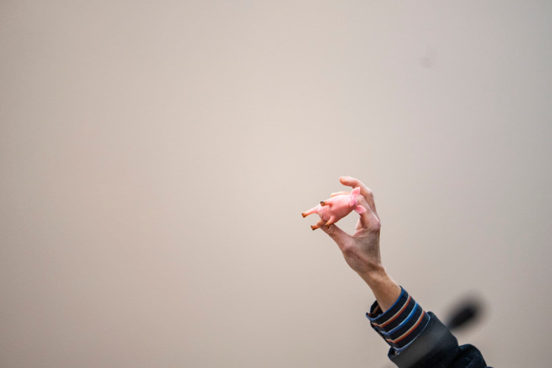 Svinevelfærd fyldte i den netop overståede valgkamp med blandt andet et temamøde på Christiansborg. Med god grund, mener Mikkel Wold, for der er fundamentale, etiske spørgsmål at tage stilling til. 