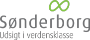 Direktør for Børn, Uddannelse og Sundhed - (genopslag)