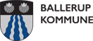 Erhvervsudviklingschef