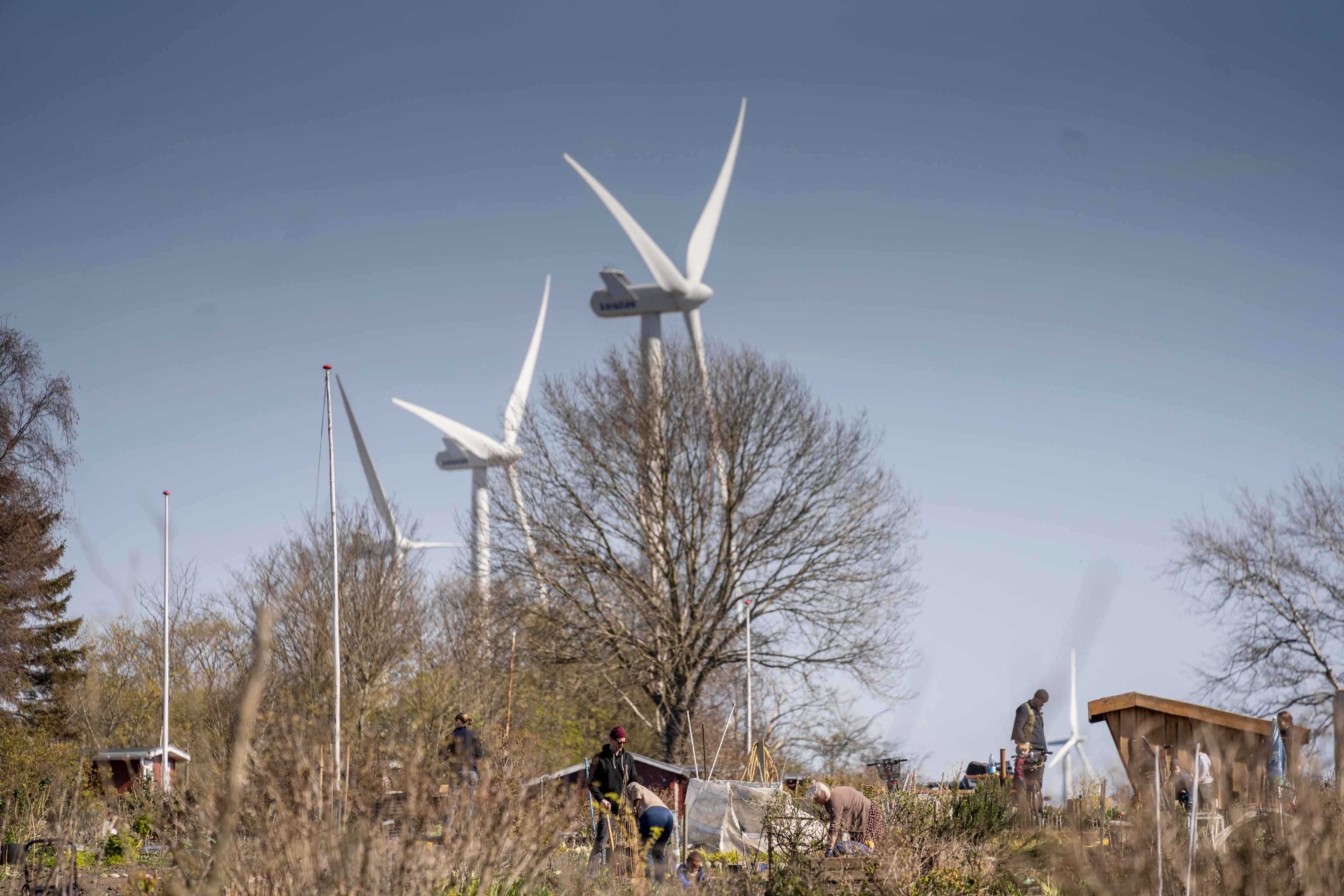 I 2030 skal der være markant færre vindmøller på land ifølge Energiaftalen fra 2018, som nu møder kritik. 
